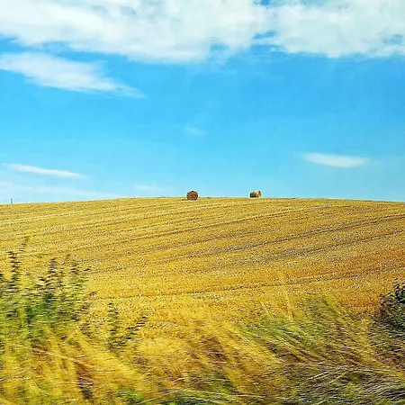 I Cipressi Arezzo